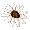 <a href="https://painted-relics.com/world/items?name=White Flower" class="display-item">White Flower</a>