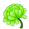 <a href="https://painted-relics.com/world/items?name=Green Flower" class="display-item">Green Flower</a>