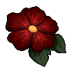 <a href="https://painted-relics.com/world/items?name=Red Flower" class="display-item">Red Flower</a>