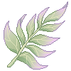 Blush Fern